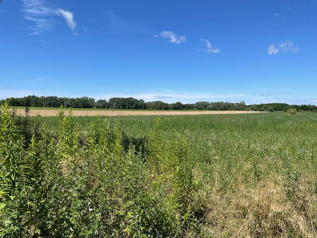 Земля Győrszemere, Венгрия, 580 000 м² - фото 4