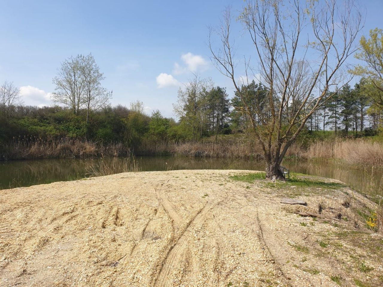 Земля Edve, Венгрия, 13 593 м² - фото 5