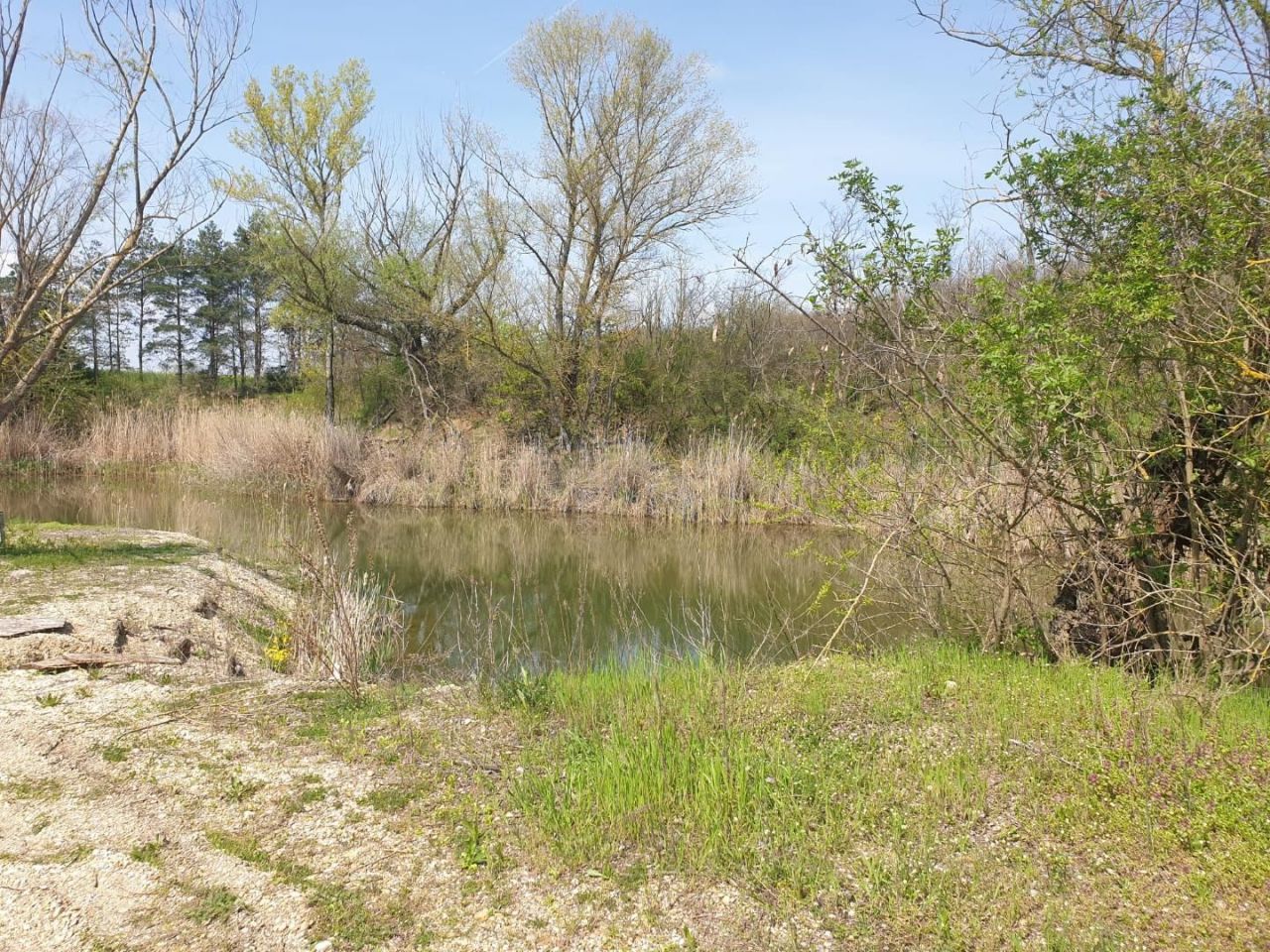 Земля Edve, Венгрия, 13 593 м² - фото 6