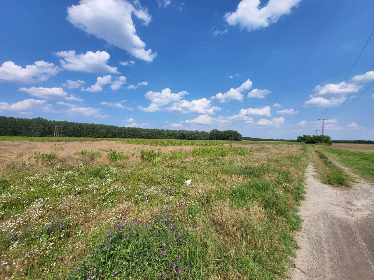 Земля Örkény, Венгрия, 480 000 м² - фото 6