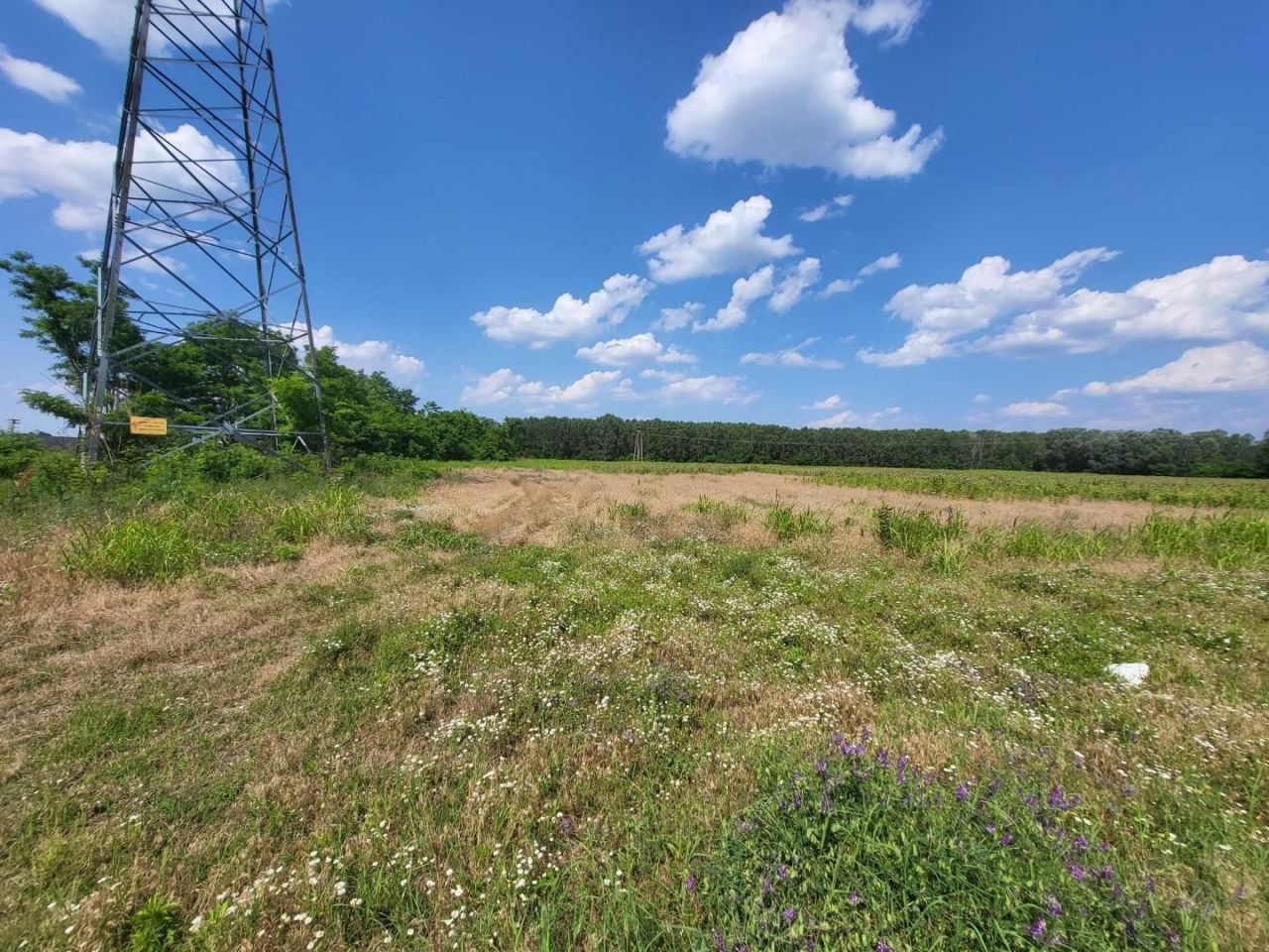 Земля Örkény, Венгрия, 480 000 м² - фото 7