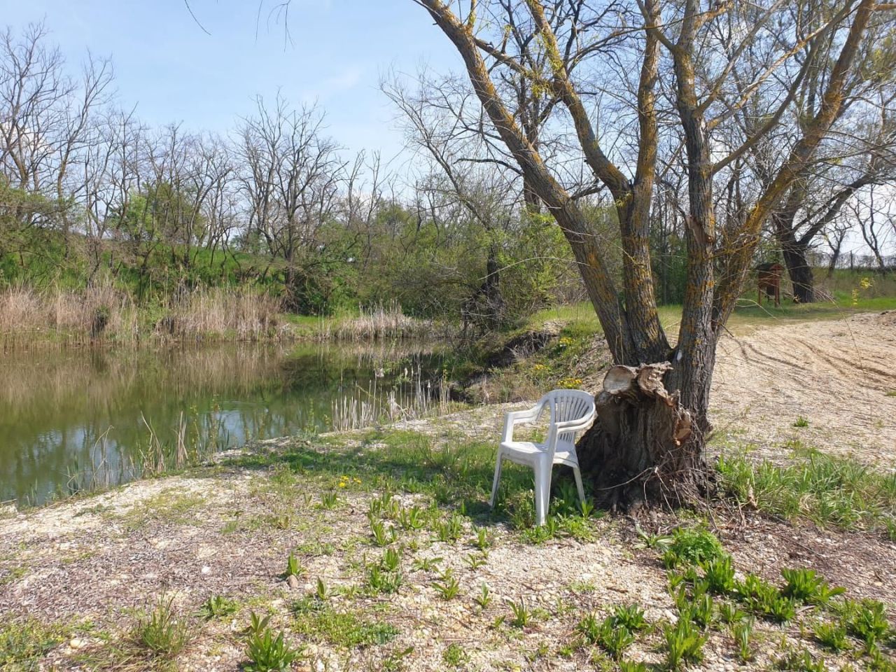 Земля Edve, Венгрия, 13 593 м² - фото 8