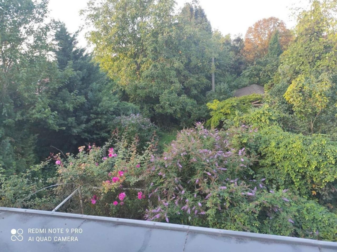 Вилла Zsámbék, Венгрия, 172 м² - фото 10