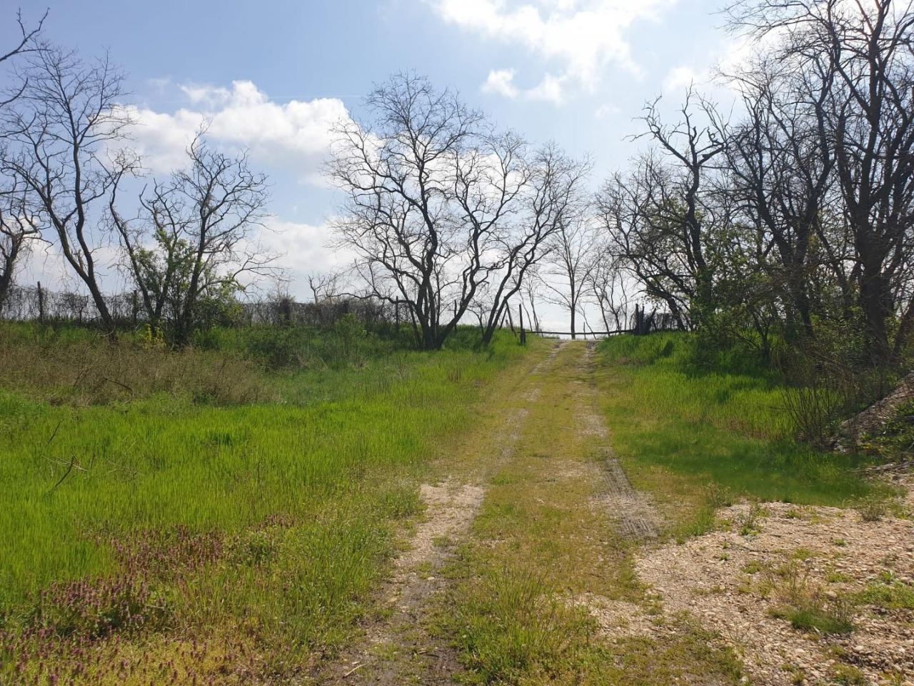 Земля Edve, Венгрия, 13 593 м² - фото 11