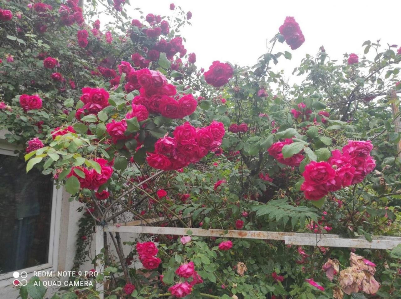 Вилла Zsámbék, Венгрия, 172 м² - фото 12