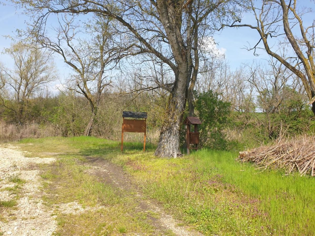 Земля Edve, Венгрия, 13 593 м² - фото 12