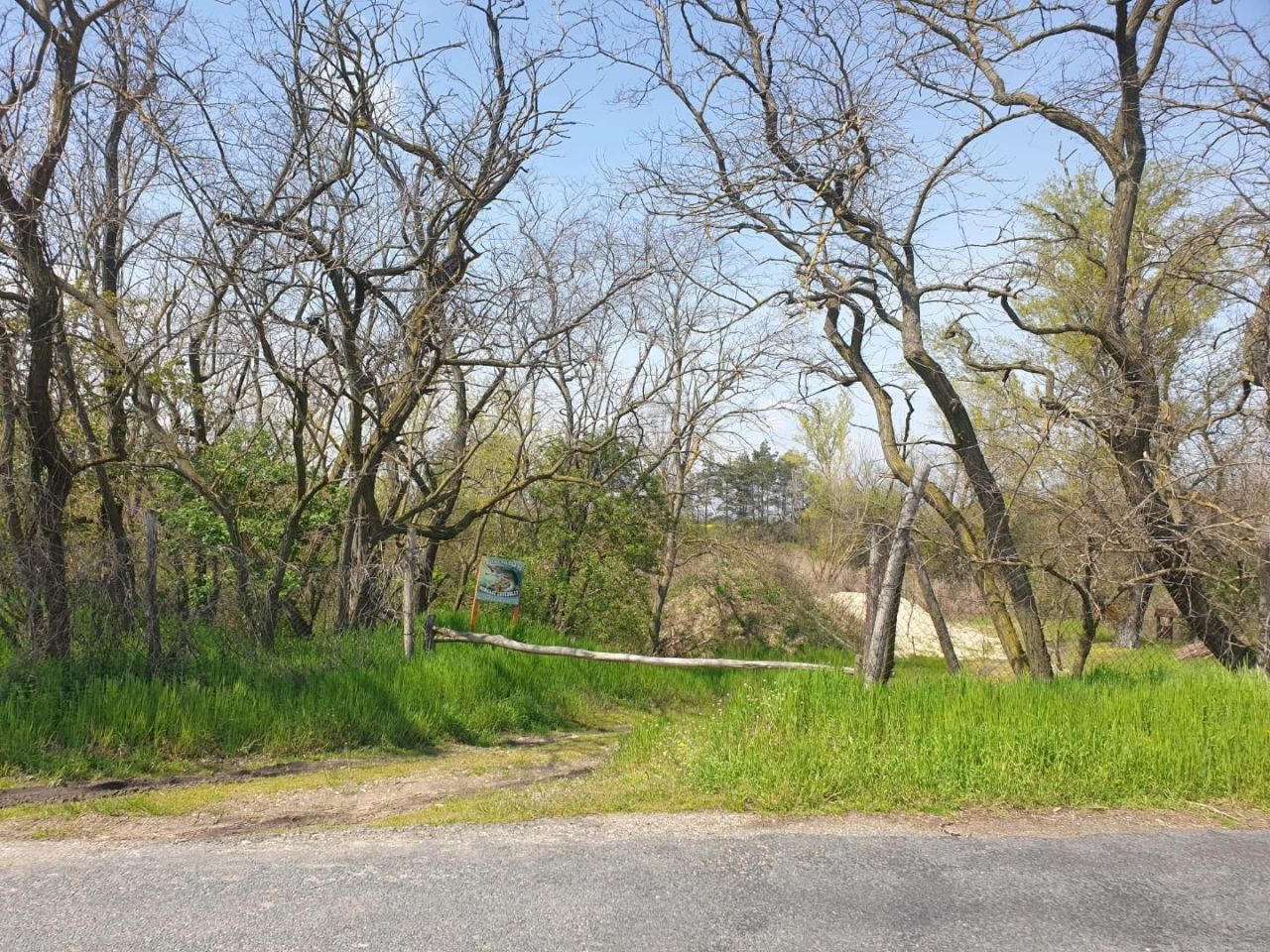 Земля Edve, Венгрия, 13 593 м² - фото 13