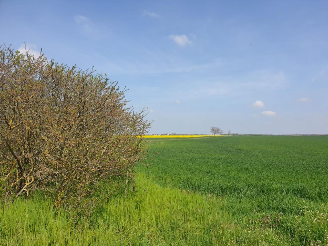 Земля Edve, Венгрия, 13 593 м² - фото 14