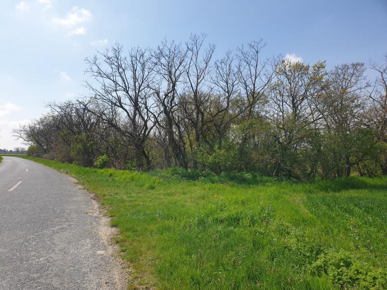 Земля Edve, Венгрия, 13 593 м² - фото 15