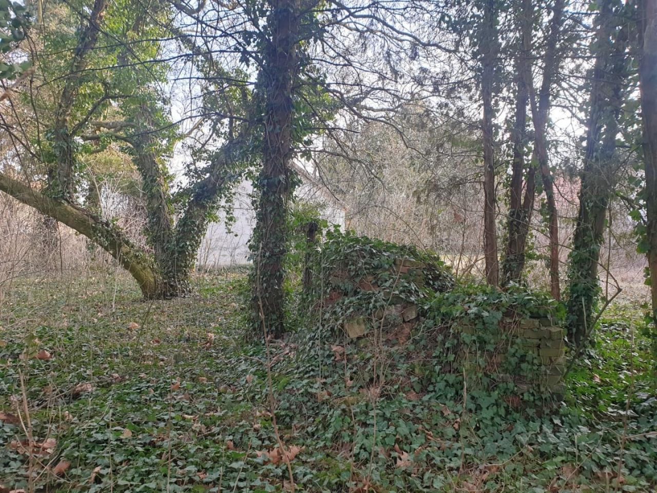 Замок Pusztakovácsi, Венгрия - фото 14