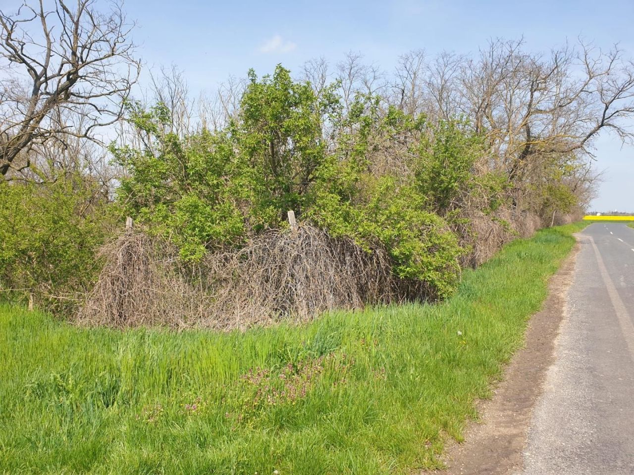 Земля Edve, Венгрия, 13 593 м² - фото 17