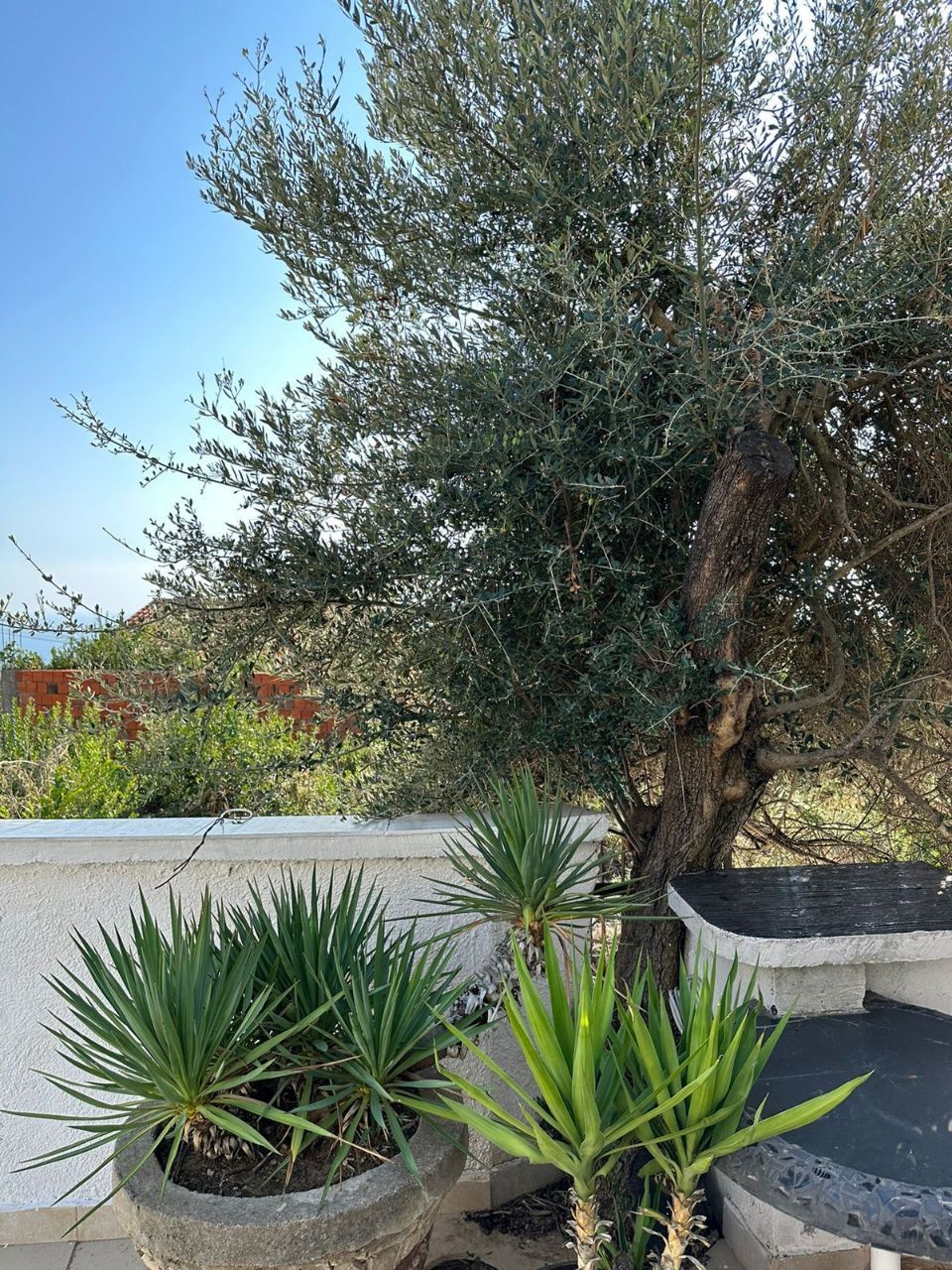 Вилла в Будве, Черногория, 170 м² - фото 4