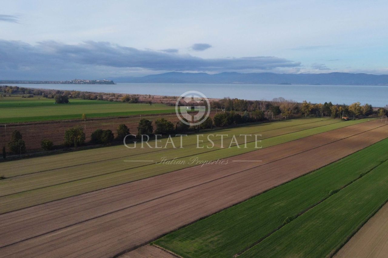 Дом в Кастильоне-дель-Лаго, Италия, 399 м² - фото 5