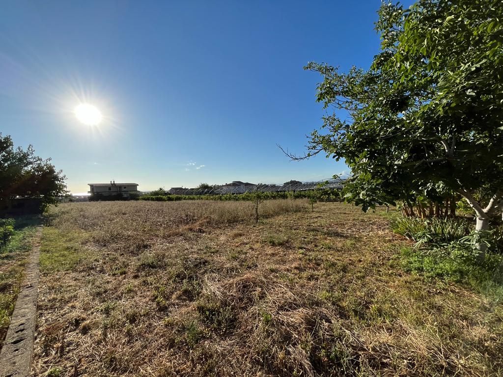 Дом в Санта-Мария дель Чедро, Италия, 390 м² - фото 15