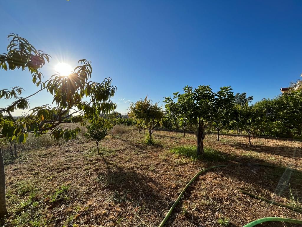 Дом в Санта-Мария дель Чедро, Италия, 390 м² - фото 16