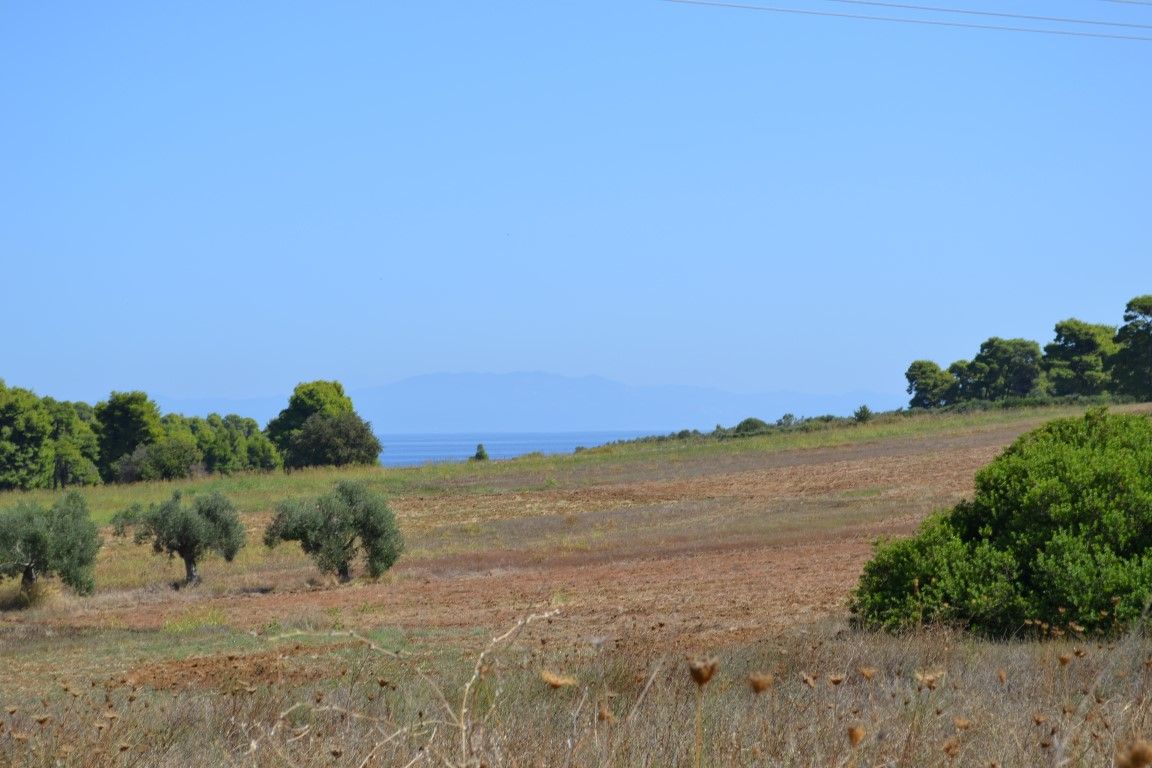 Земля на Халкидиках, Греция, 4 380 м2 - фото 1