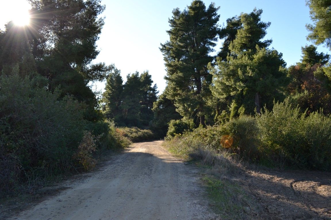 Земля на Кассандре, Греция, 4 319 м² - фото 2