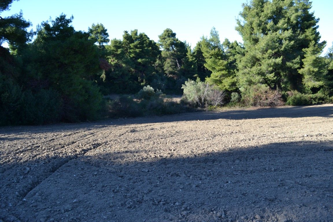 Земля на Кассандре, Греция, 4 319 м² - фото 4