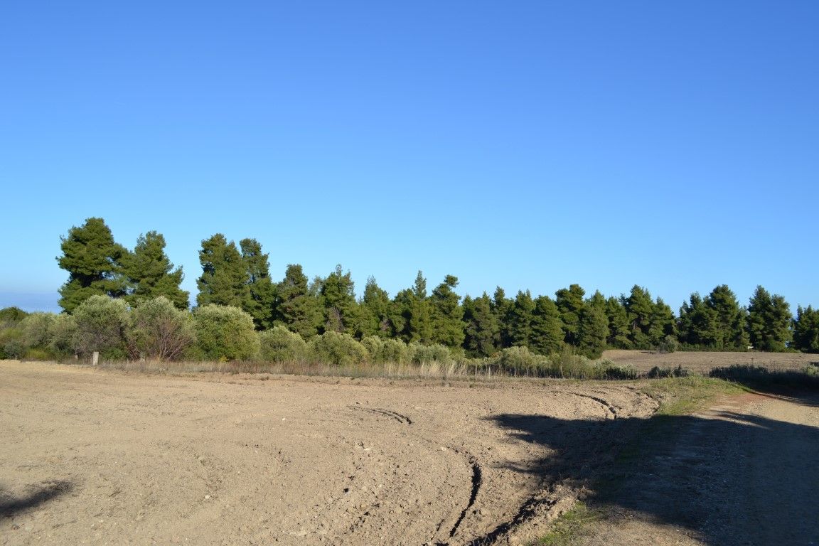 Земля на Кассандре, Греция, 4 319 м² - фото 5