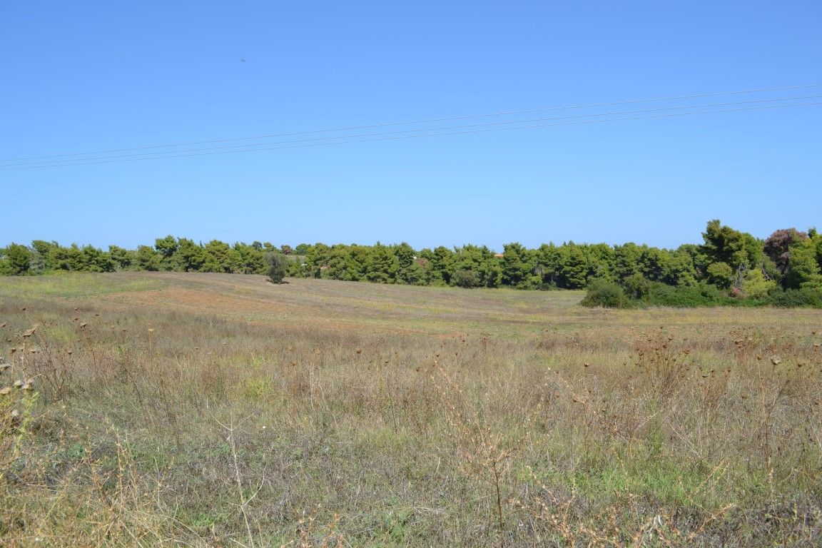 Земля на Кассандре, Греция, 4 380 м² - фото 6