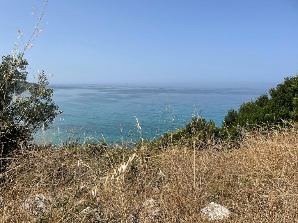Земля на Корфу, Греция, 4 800 м2 - фото 1
