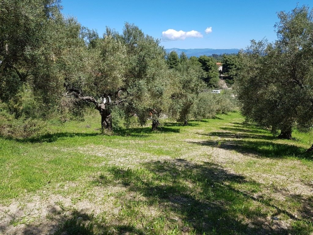 Земля на Кассандре, Греция, 2 002 м² - фото 2