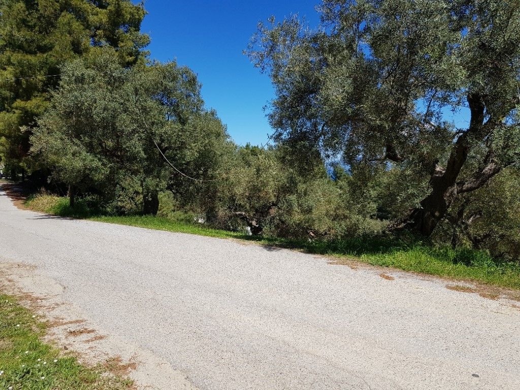 Земля на Кассандре, Греция, 2 002 м² - фото 3