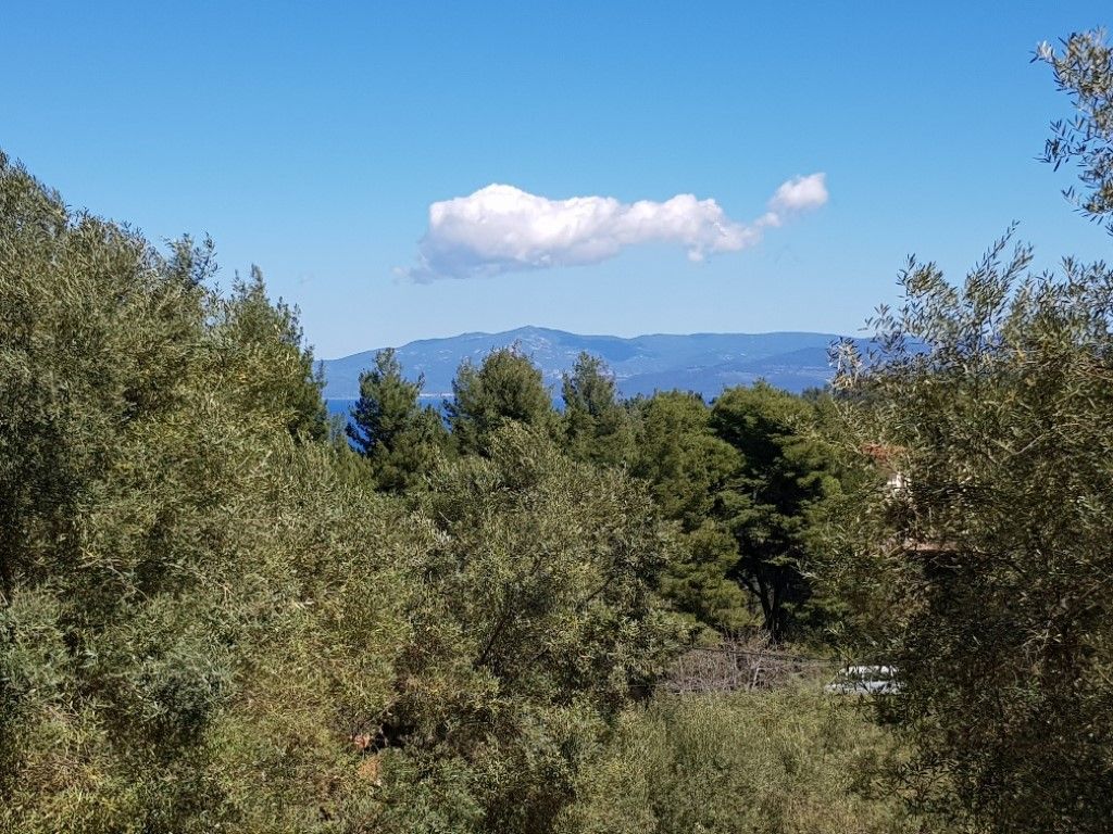 Земля на Кассандре, Греция, 2 002 м² - фото 4