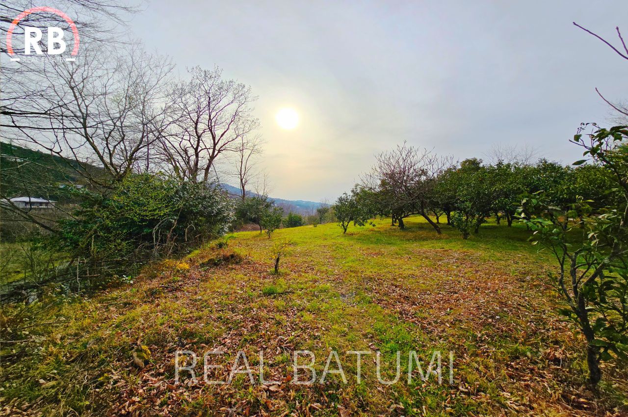 Земля в Батуми, Грузия, 7 522 м² - фото 13