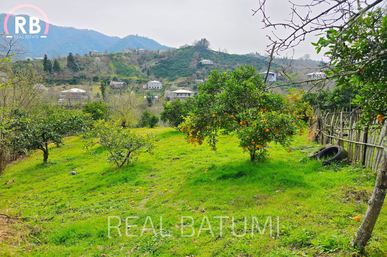 Земля в Батуми, Грузия, 7 522 м² - фото 8