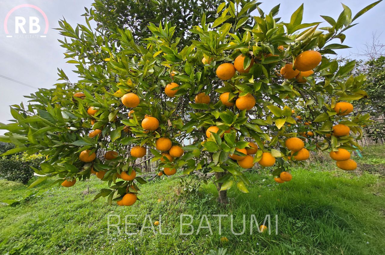 Дом в Батуми, Грузия, 150 м² - фото 9