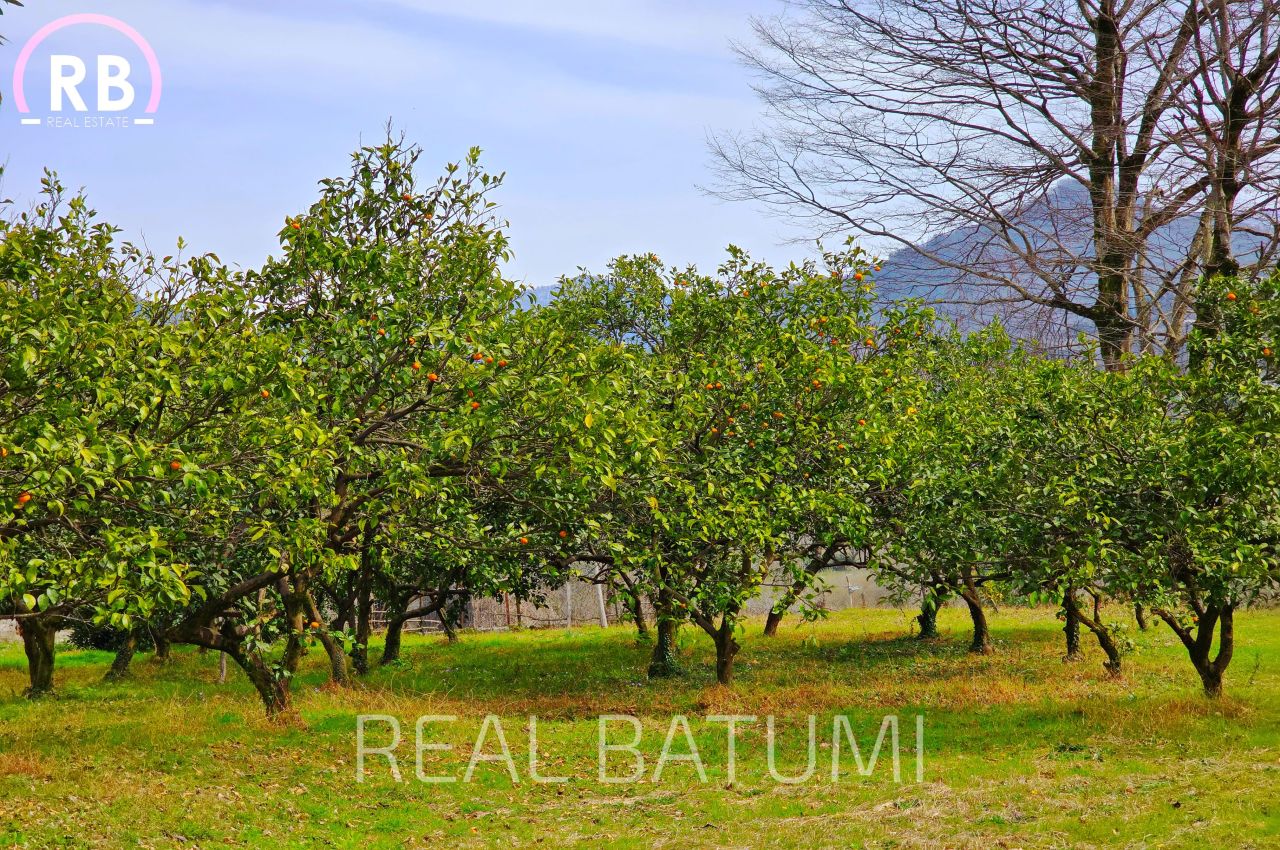 Дом в Батуми, Грузия, 150 м² - фото 4