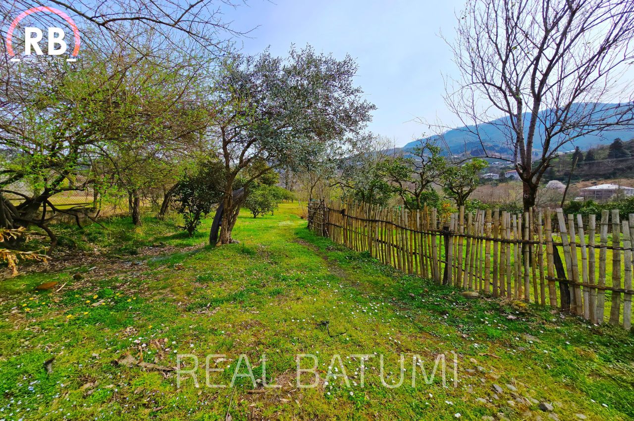 Дом в Батуми, Грузия, 150 м² - фото 5