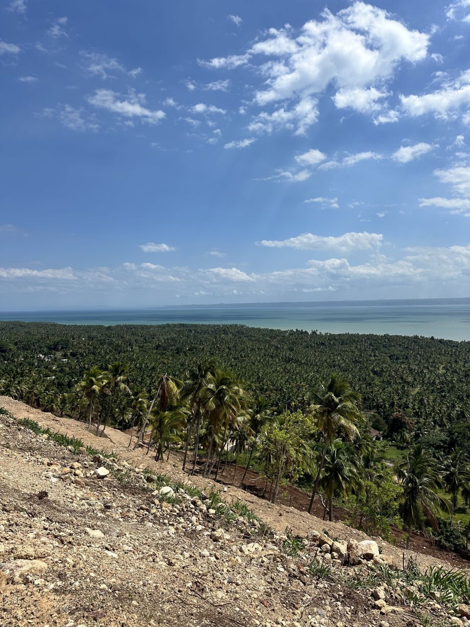 Земля в Самане, Доминиканская Республика, 500 м² - фото 5