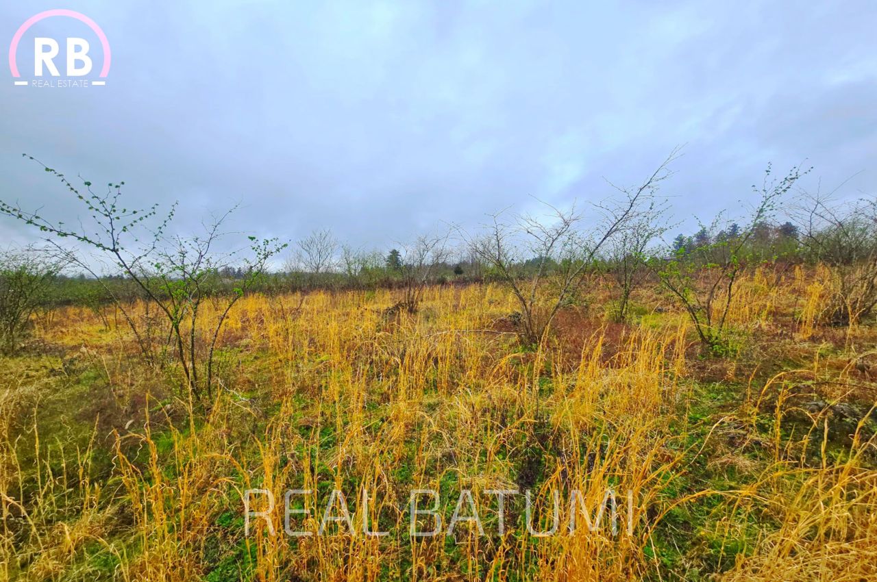 Земля в Батуми, Грузия, 4 820 м² - фото 2