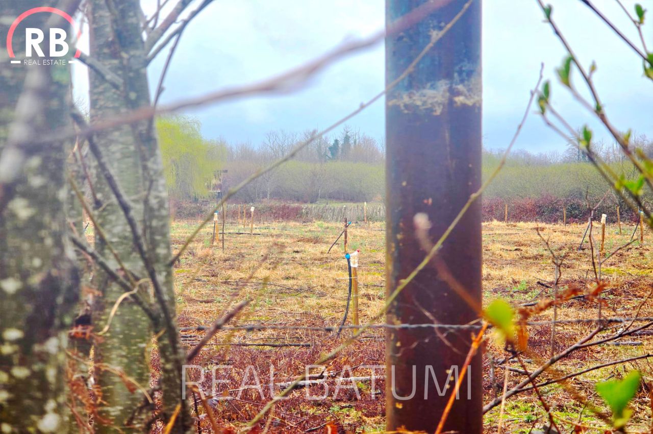 Земля в Батуми, Грузия, 18 494 м² - фото 6