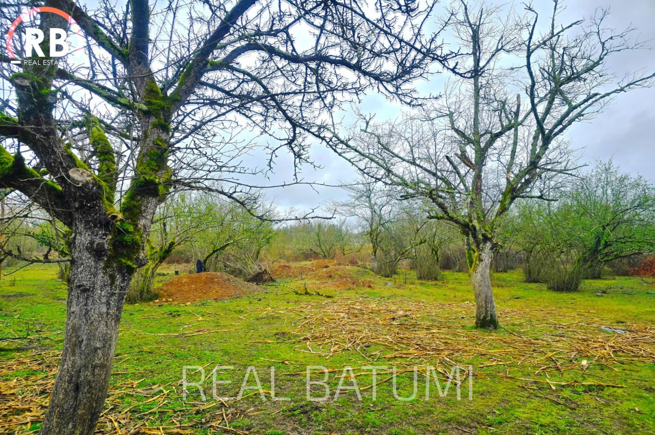 Земля в Батуми, Грузия, 18 494 м² - фото 3