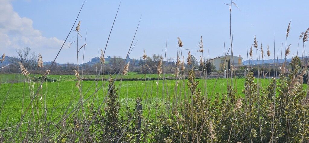 Земля на Кассандре, Греция, 4 625 м² - фото 4