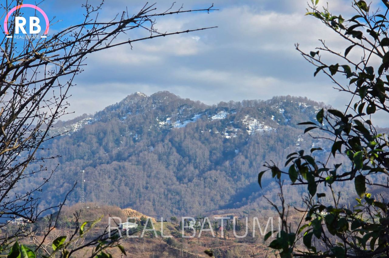 Земля в Батуми, Грузия, 3 950 м² - фото 5