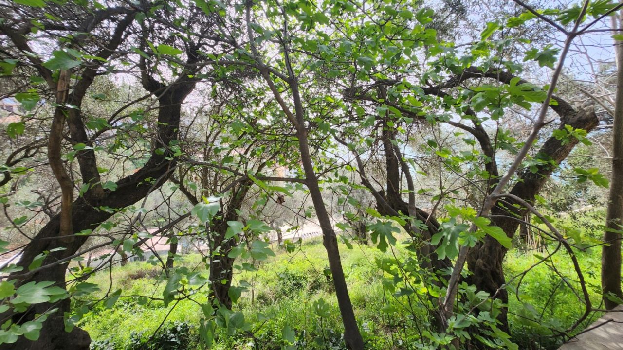 Дом в Улцине, Черногория, 205 м² - фото 10