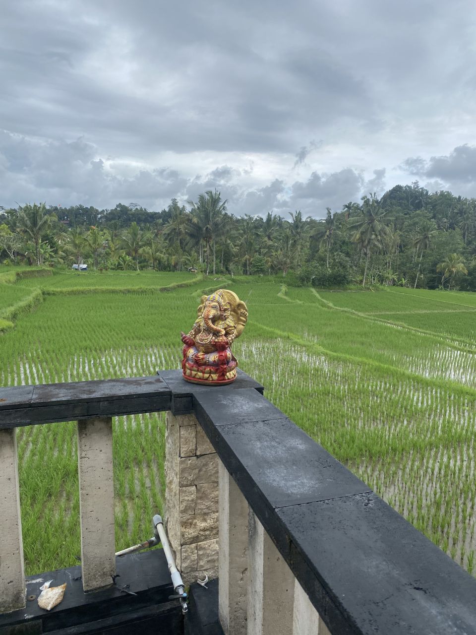 Отель, гостиница в Убуде, Индонезия, 300 м² - фото 9