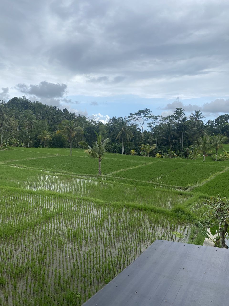 Отель, гостиница в Убуде, Индонезия, 300 м² - фото 12