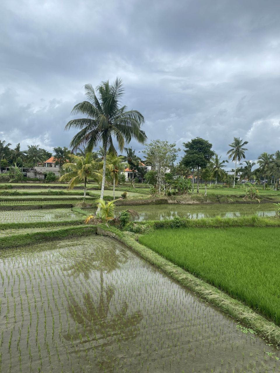 Отель, гостиница в Убуде, Индонезия, 300 м² - фото 8