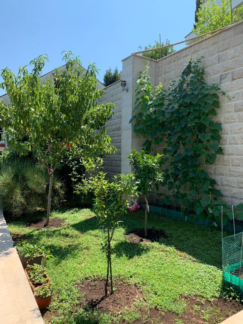 Вилла в Херцег-Нови, Черногория, 230 м² - фото 11