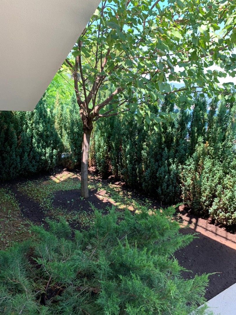 Вилла в Херцег-Нови, Черногория, 230 м² - фото 13