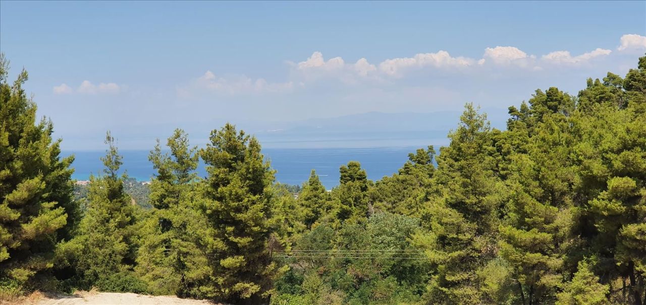 Земля на Халкидиках, Греция, 16 000 м2 - фото 1