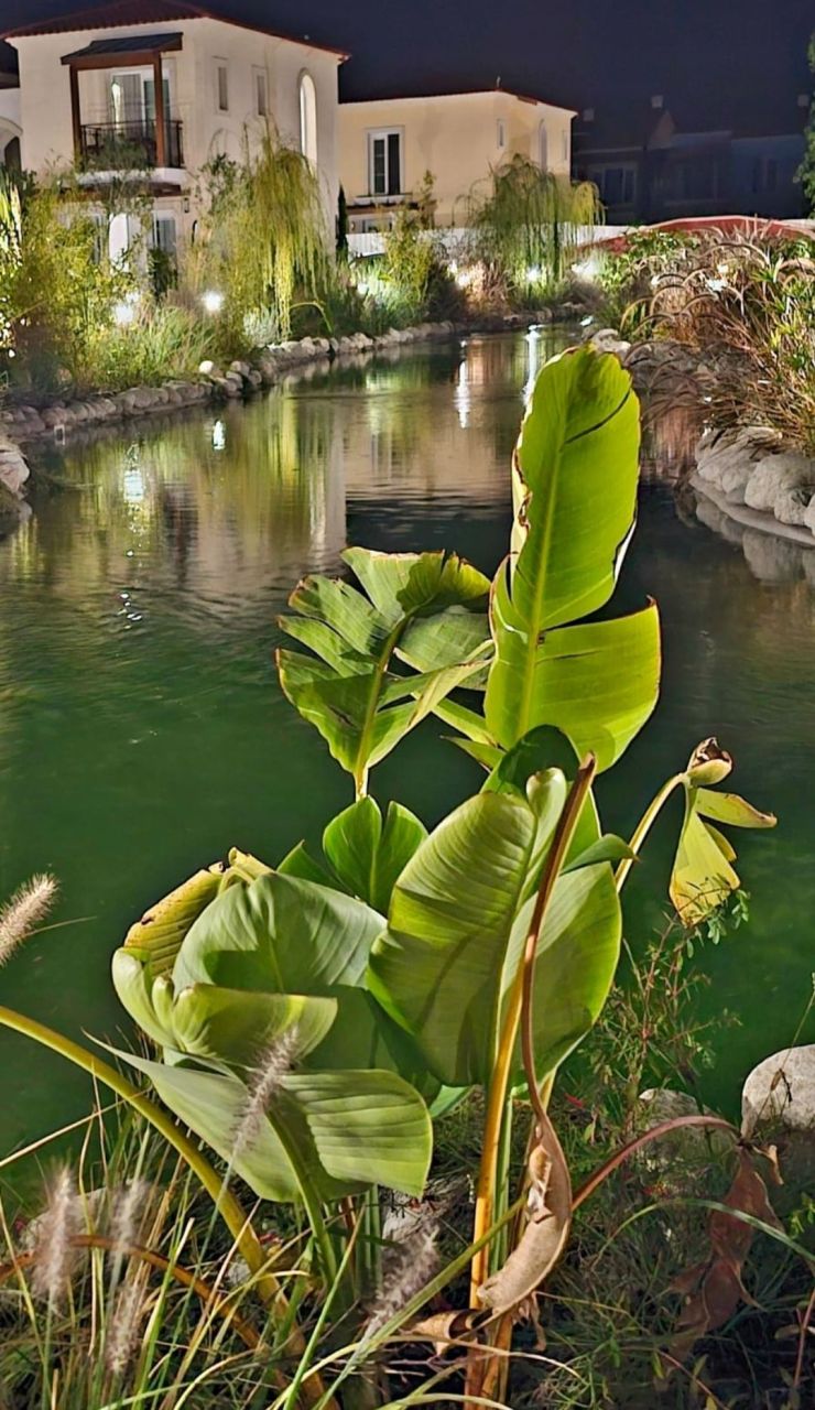 Квартира в Фетхие, Турция, 50 м² - фото 3