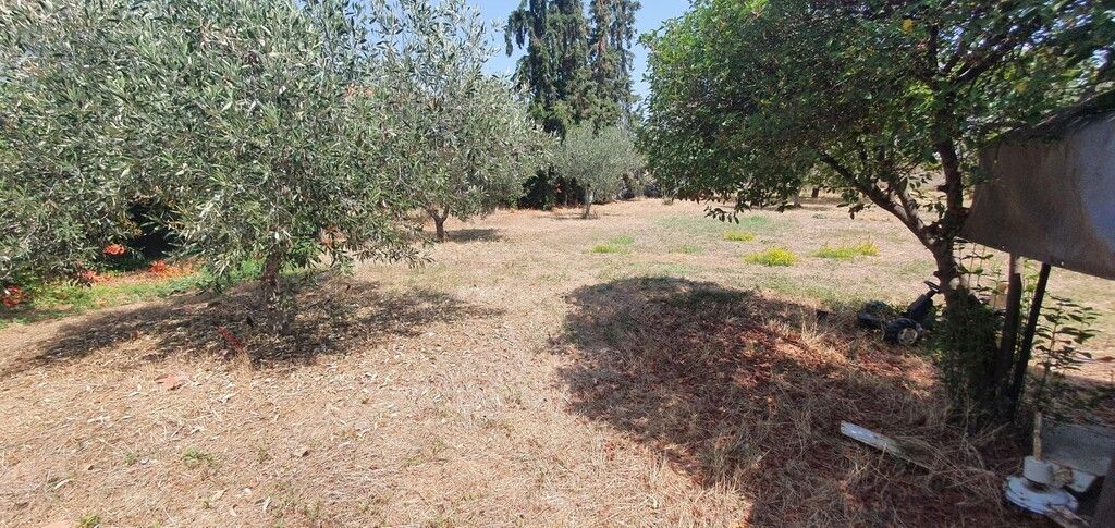 Земля на Халкидиках, Греция, 900 м² - фото 2