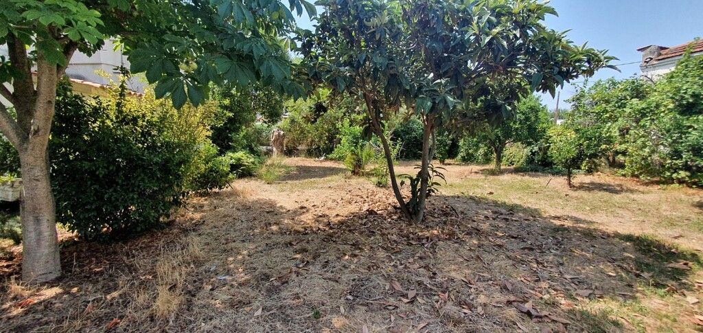 Земля на Халкидиках, Греция, 900 м² - фото 3