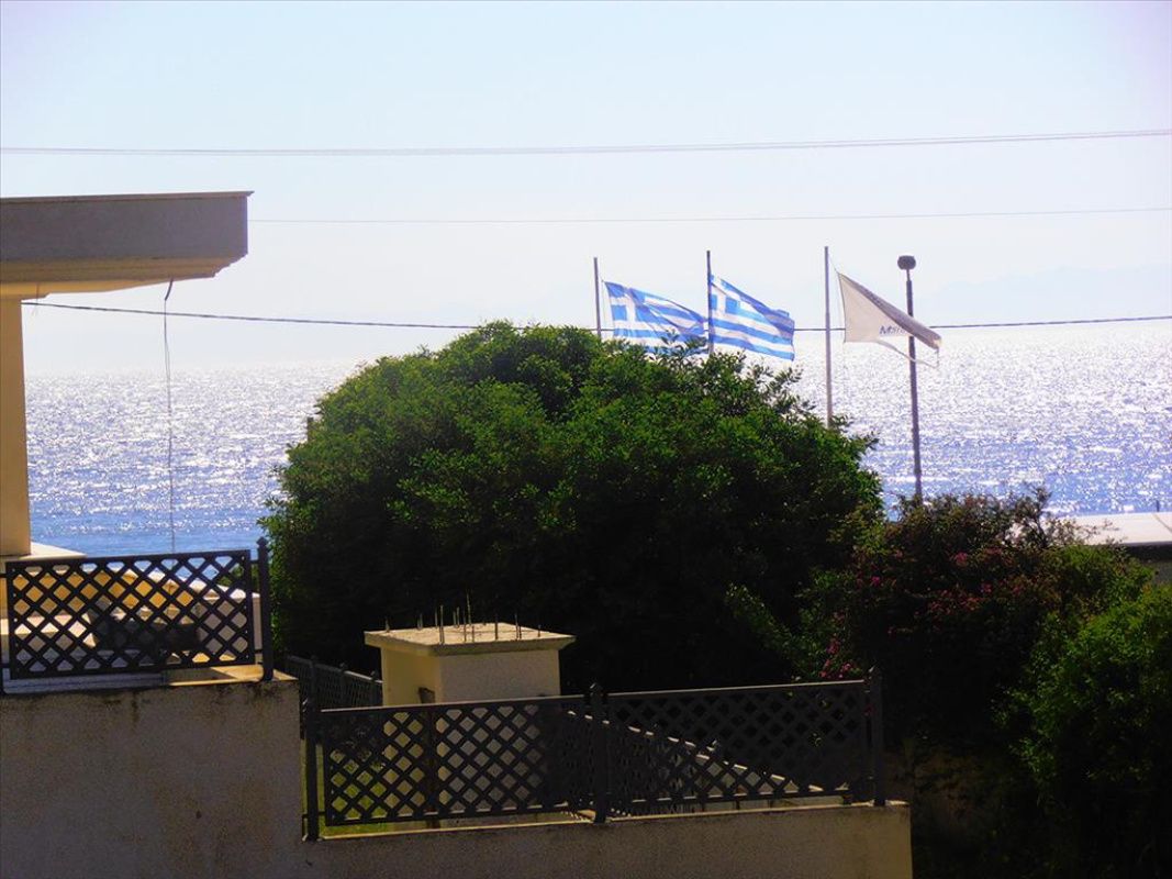 Земля в Афинах, Греция, 865 сот. - фото 1